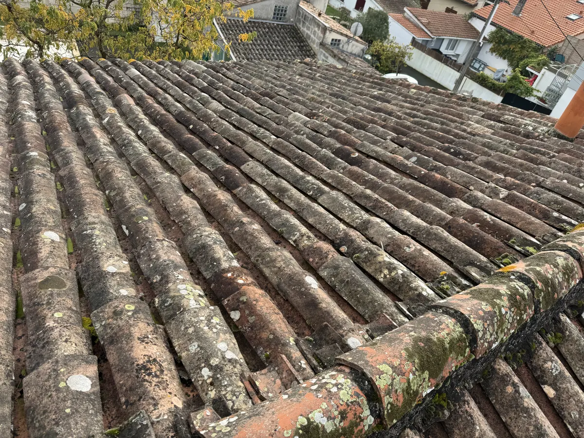 Toiture en tuiles présentant des mousses et des lichens avant entretien